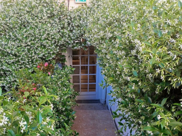 HOTEL DES DAMES